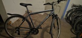 X-FACT Velo 50cm 28Zoll Tip Top