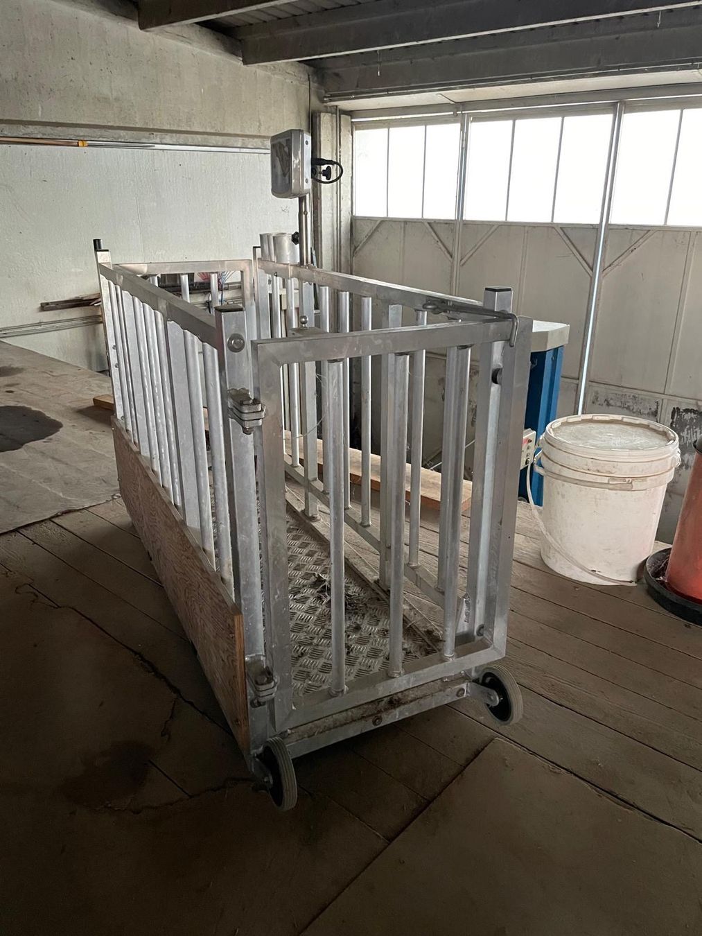 Altro in Accessori per animali: Bilancia per bestiame – Usato da Ligornetto venduto da ale_px6j 1