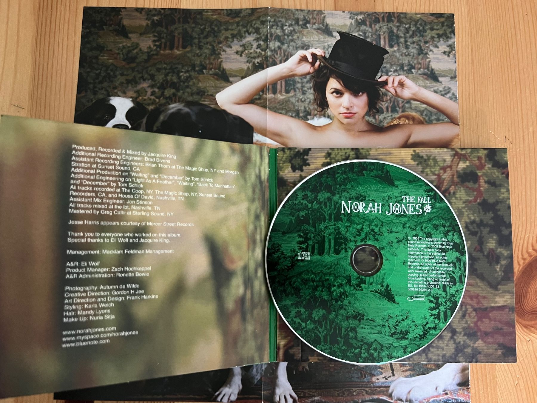 CDs: Norah Jones – The Fall – Gebraucht aus st.gallen von sophiephie 1