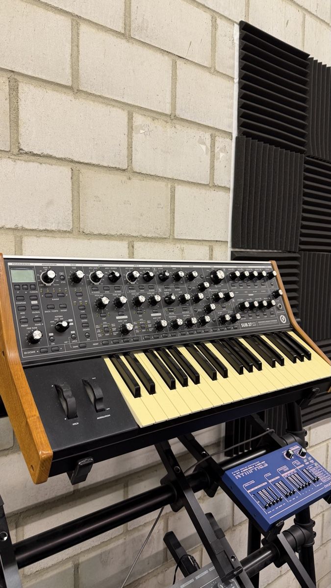 Moog Strumenti musicali: Moog Sub 37 Tribute Edition – Usato da Basel venduto da alb_r8v8