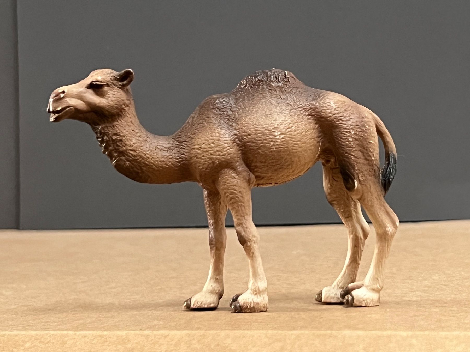 Schleich Sonstiges Spielzeug & Basteln: Schleich Dromedar Stute und Fohlen Kamel – Gebraucht aus Ennetbaden von  8