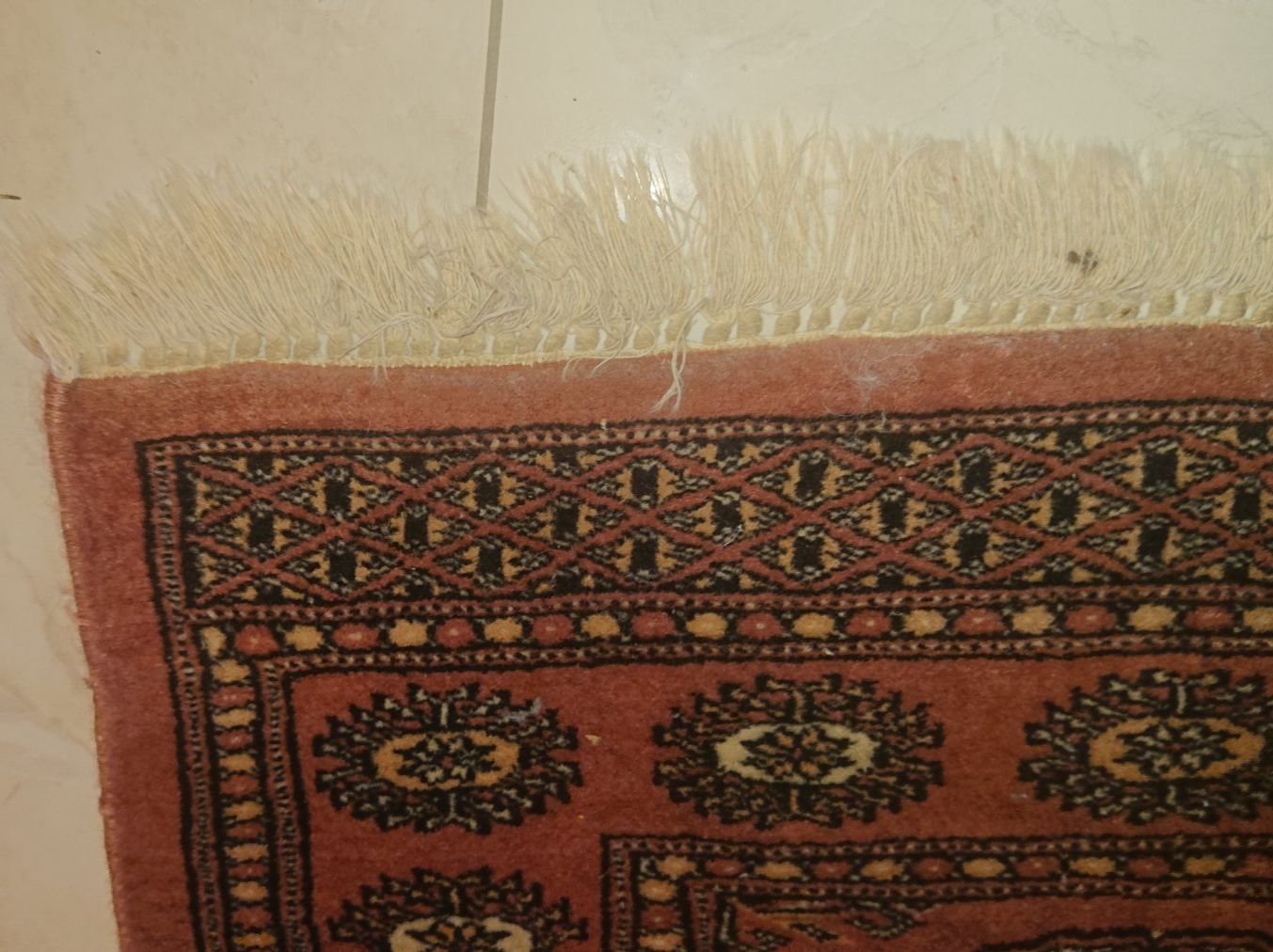 Tapis: Alter Teppich – D'occasion à Grenchen par Zombiepolizist 1