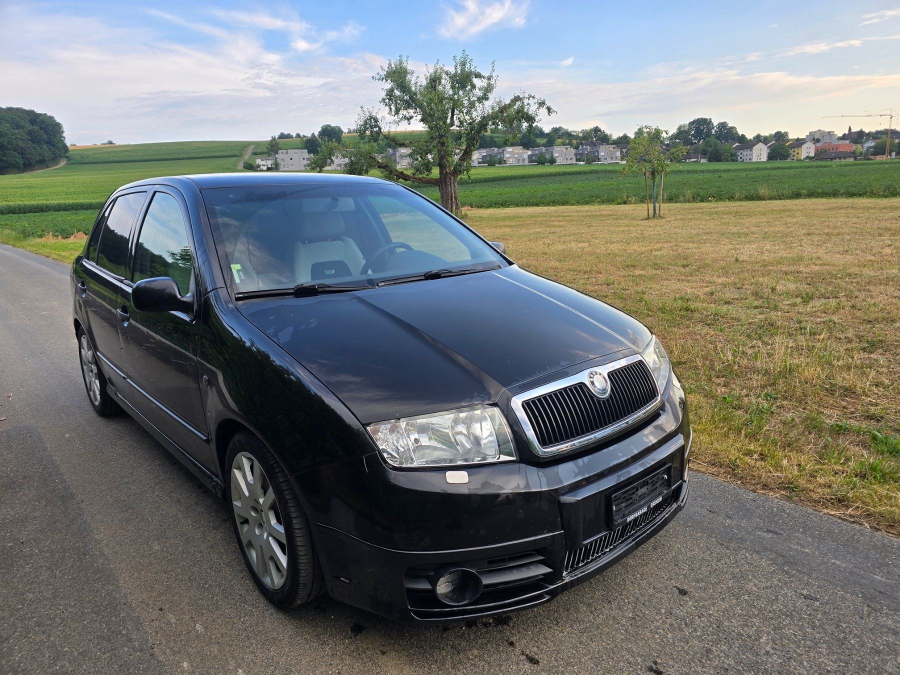 Skoda Automobili: Skoda Fabia TDI RS – Usato da Sonnental venduto da gil_9tgc 1