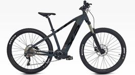 RAMPICHINO MTB ELETTRICO 48V 100Nm , GARANZIA 3 ANNI, X-RIDE