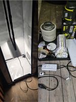 Grow Box