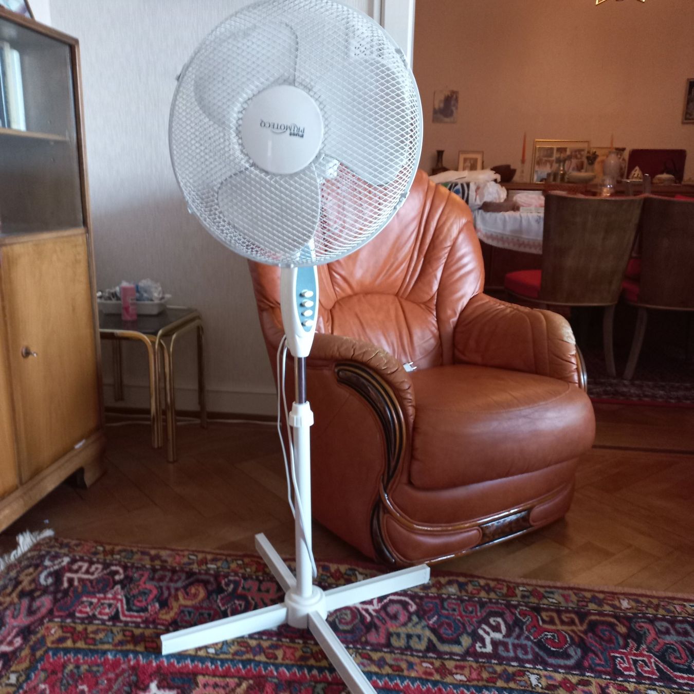 Primotecq Ventilatoren: Ventilateur Primotecq – Gebraucht aus Jongny von dve_7nbz