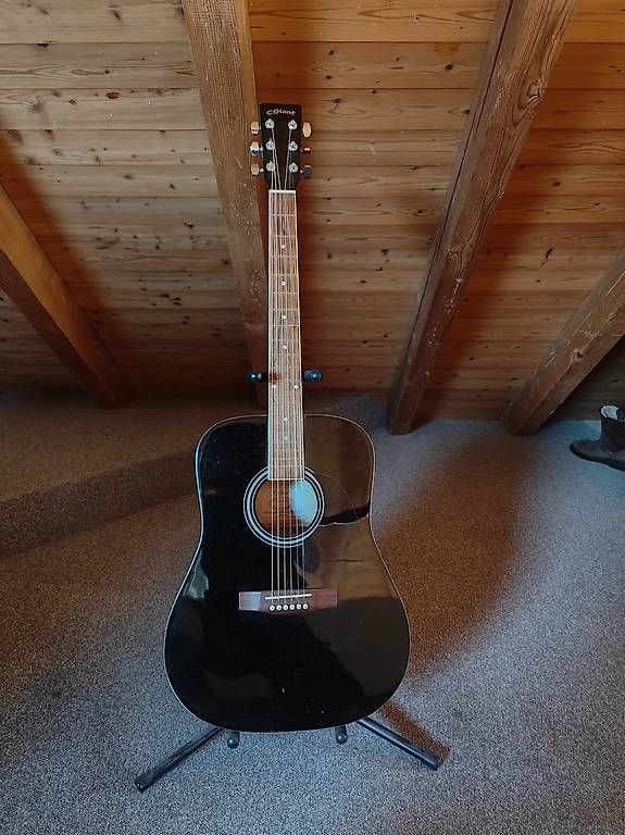 Instruments de musique: C.Giant Westerngitarre – D'occasion à Oberdiessbach par Stefan_Schuepbach