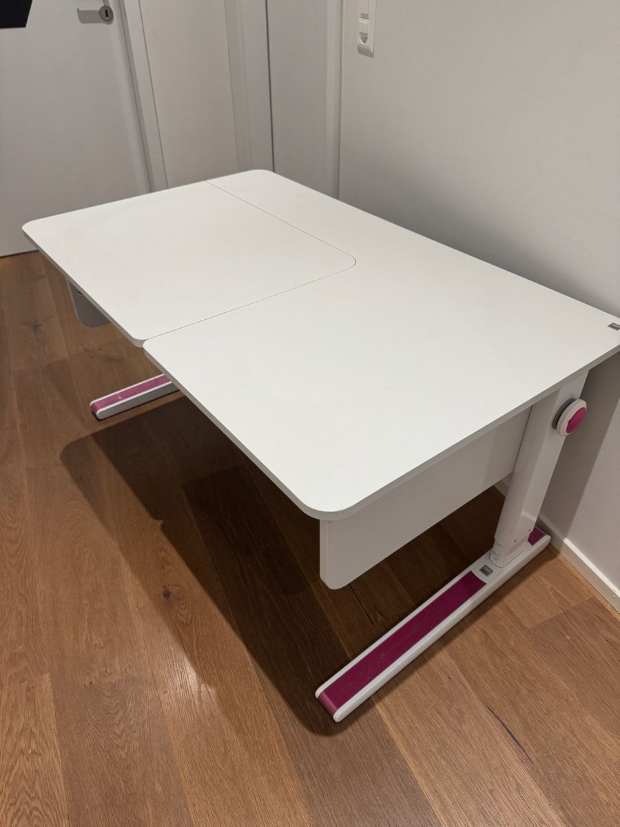 Bureaux: Schreibtisch Moll Champion – D'occasion à Baar par Tasha04