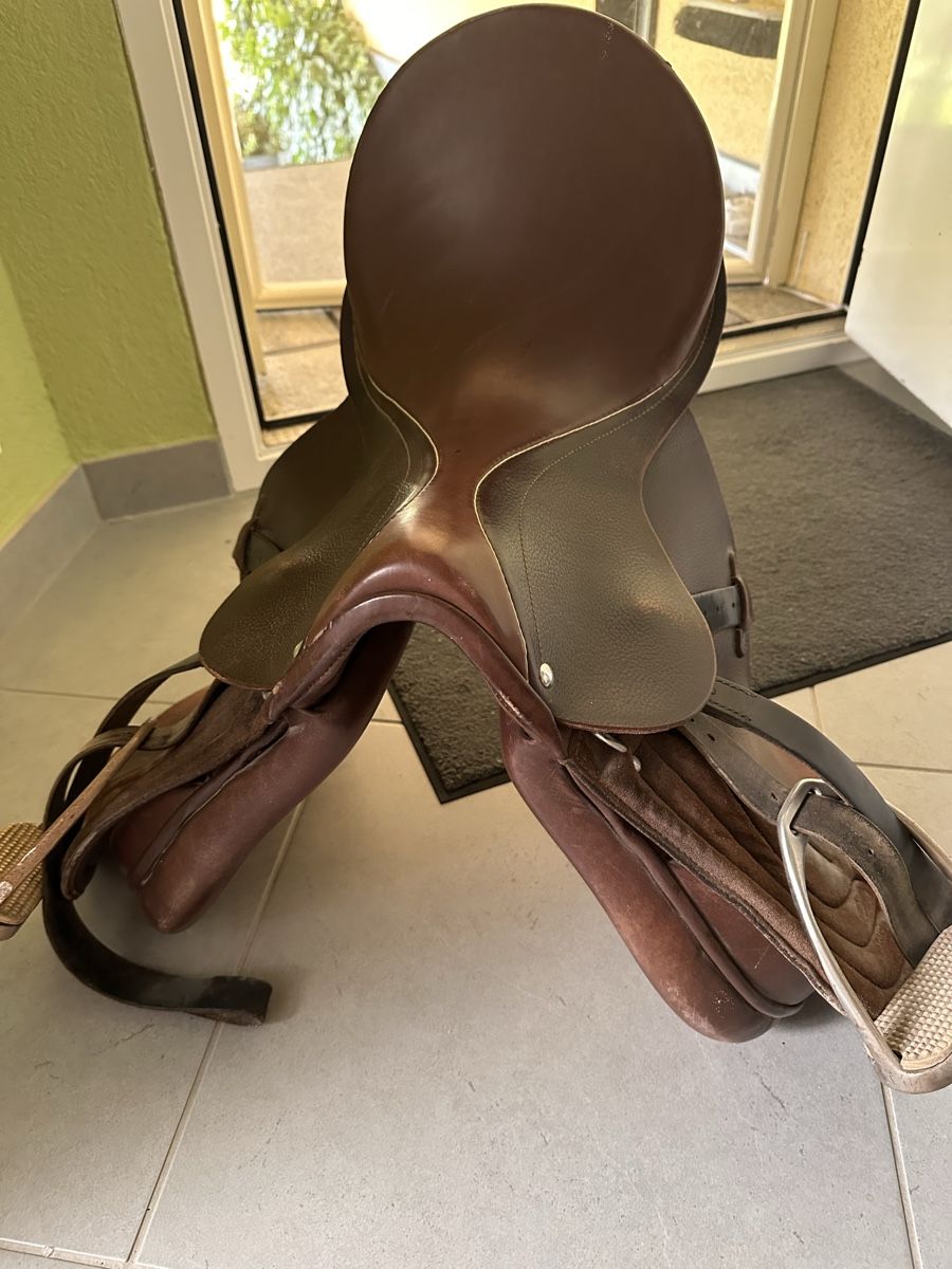 Selle & Accessori: Sattel – Usato da Egliswil venduto da Herculea 1
