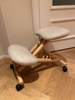 Ergonomic chair (desk/office chair)