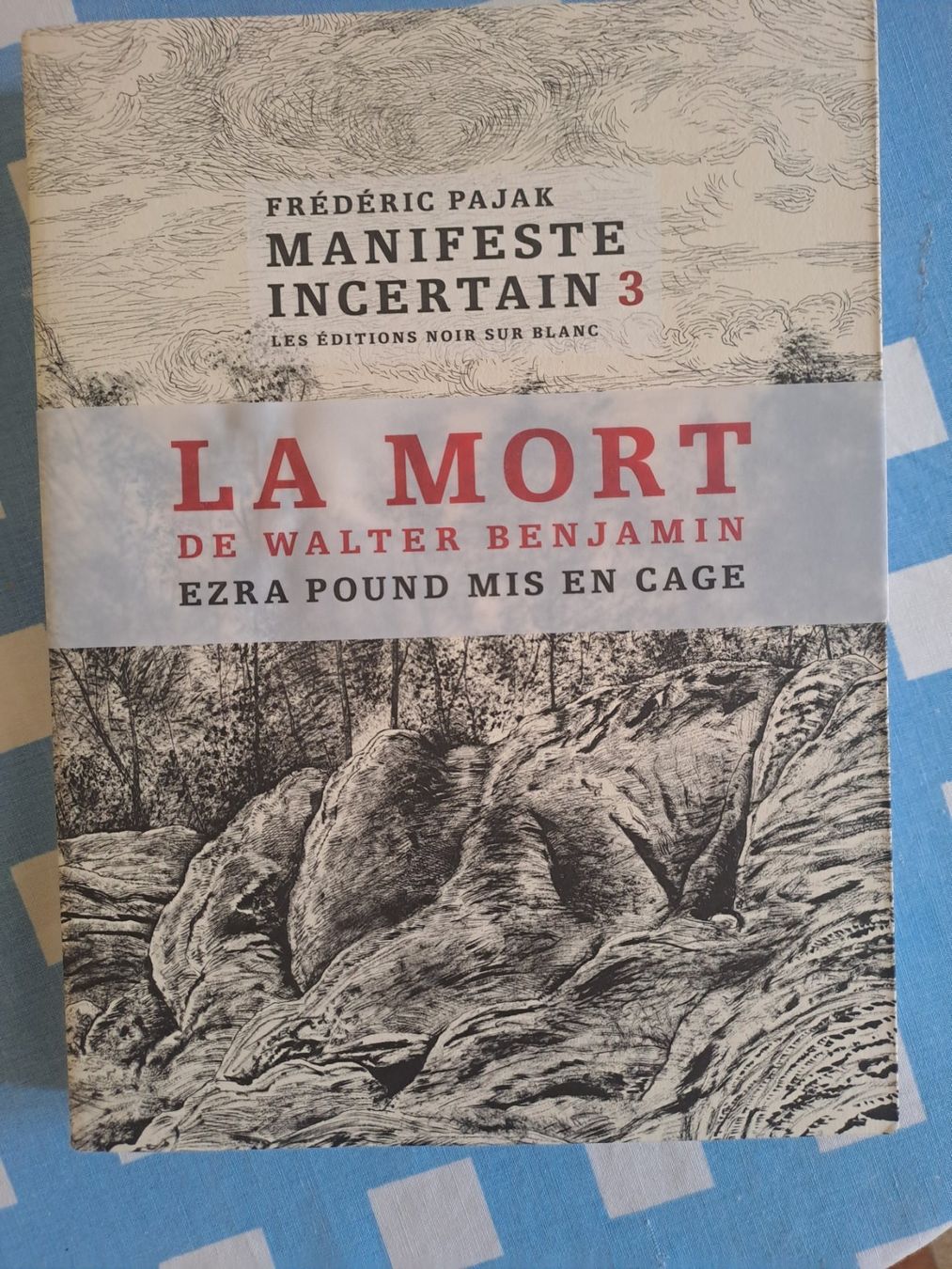 Libri: Manifeste 3 Frédéric Pajak – Usato da LAUSANNE venduto da KWEW