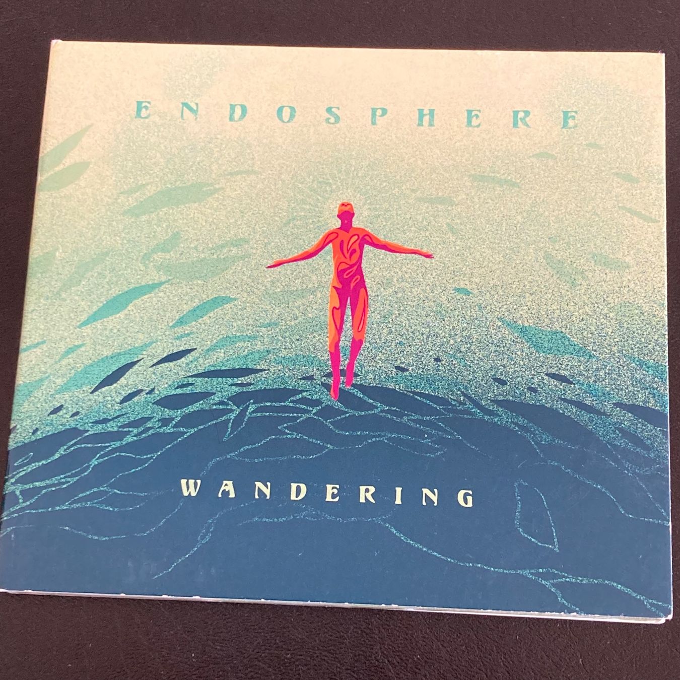 CD: Endosphere - Wandering | Ambient, New Age – Usato da Bern venduto da Ntsamina