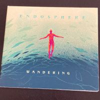 Endosphere - Wandering | Ambient, New Age