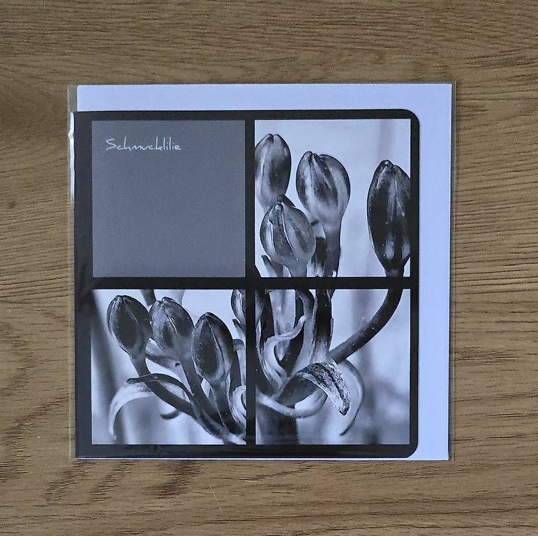 CDs: Collagekarte Schmucklilie – Neu und originalverpackt aus Chur von Frei3912