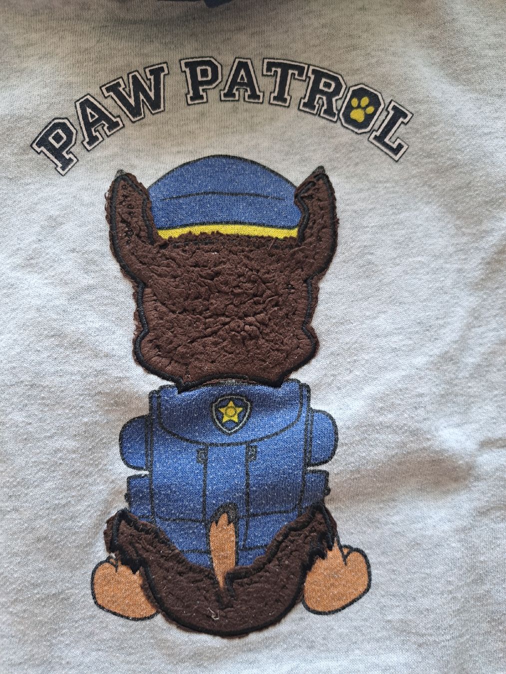 Maglioni & Felpe: Pullover PAW PATROL 🐾,  Gr. 110 – Usato da Seuzach venduto da nadine.baur84 4
