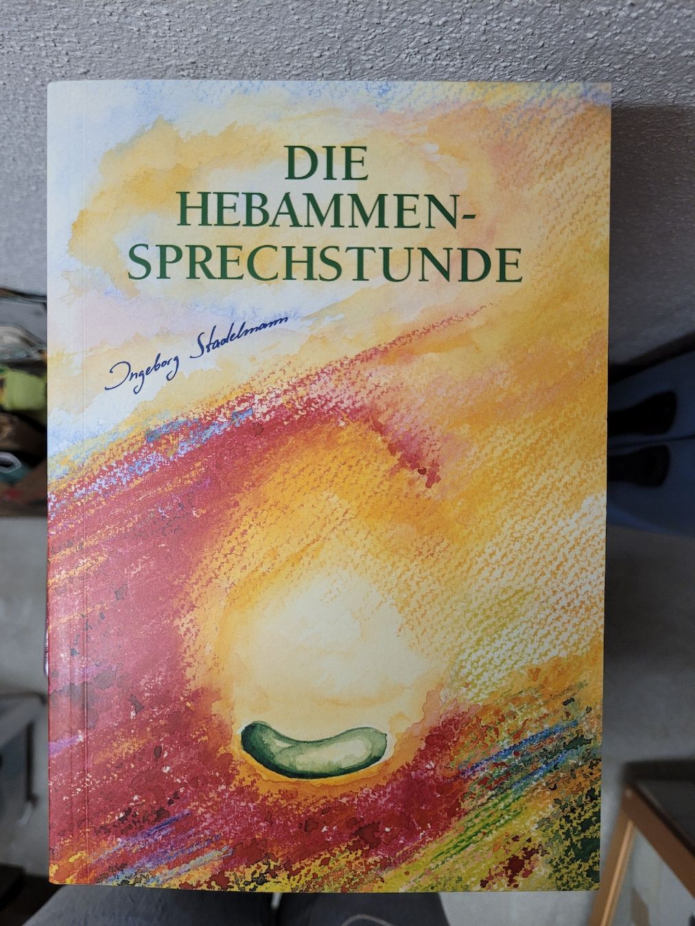 Bücher: Hebammensprechstunde von Ingeborg Stadelmann – Gebraucht aus Winterthur von Jonathan22