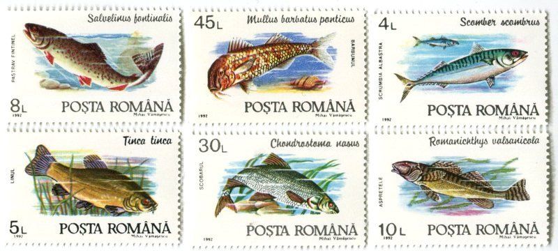 Tous les timbres: Briefmarken "Fische". Rumänien – Neuf avec emballage d'origine à Basel par Butsch5