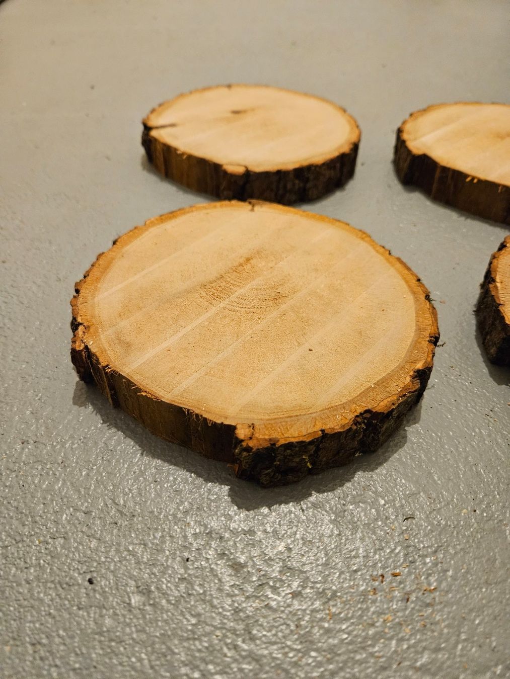 Articoli in legno: Rundholzscheiben/Baumscheiben – Nuovo (secondo la descrizione) da Brunnen venduto da kent03 2