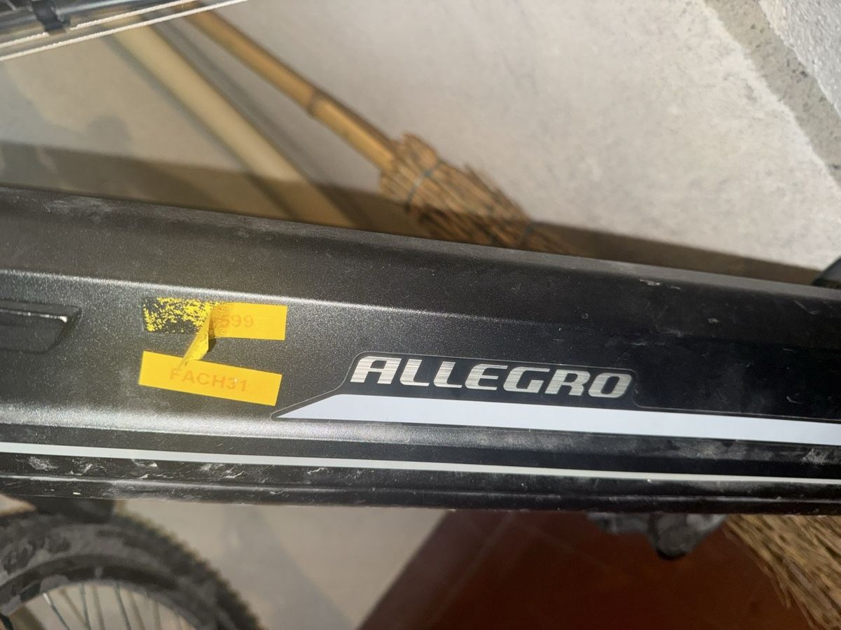 Biciclette: Elektro Velo Allegro schwarz – Usato da Zürich venduto da melibeli18 1