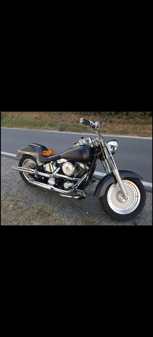 Harley-Davidson Altro: Harley Davidson FLSTF Fatboy ***ab MFK*** – Usato da Winterthur venduto da goldlocke11 9