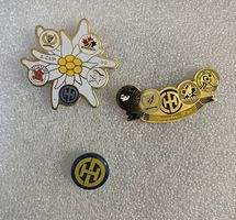 Lot Pin Hc Davos