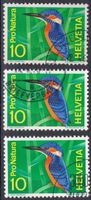 3134) 439.1.11, Abart fast weisse Kehle 3 verschie. Stadien