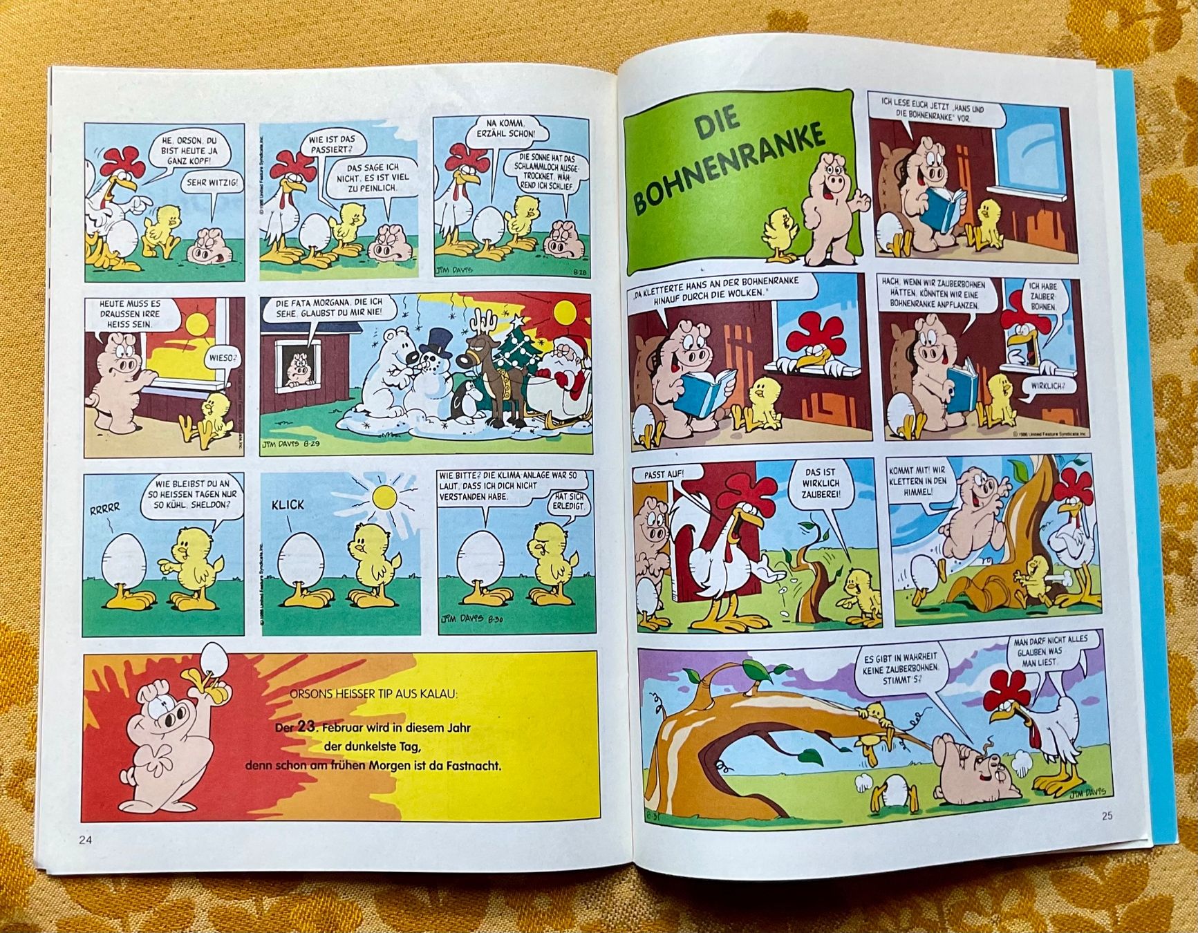 Fumetti: Garfield Heft Nr 2 von 1993 – Usato da Endingen venduto da nathan05 7