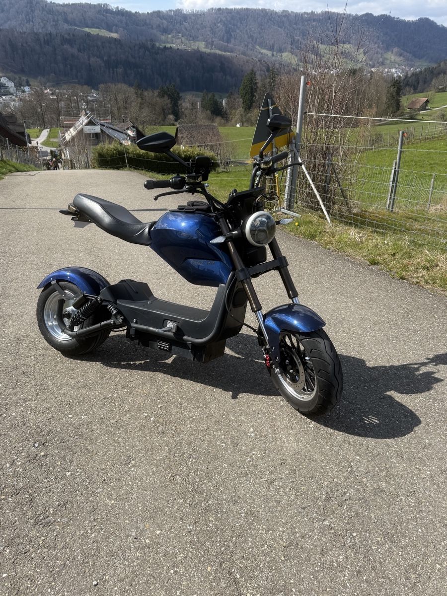 Chopper: City Max RR – Nuovo (secondo la descrizione) da thalwil venduto da Ray7211 2