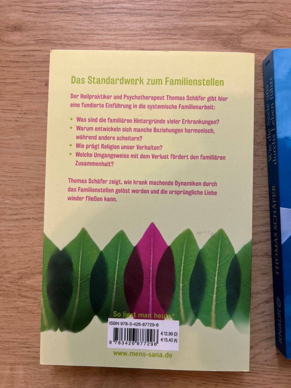 Libri: Thomas Schäfer (4 Bücher) - Seele & Körper – Usato da Bern venduto da xen_s2sl 2