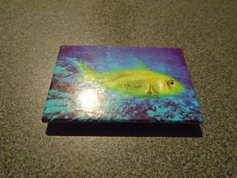 Magnet Fisch/gelb