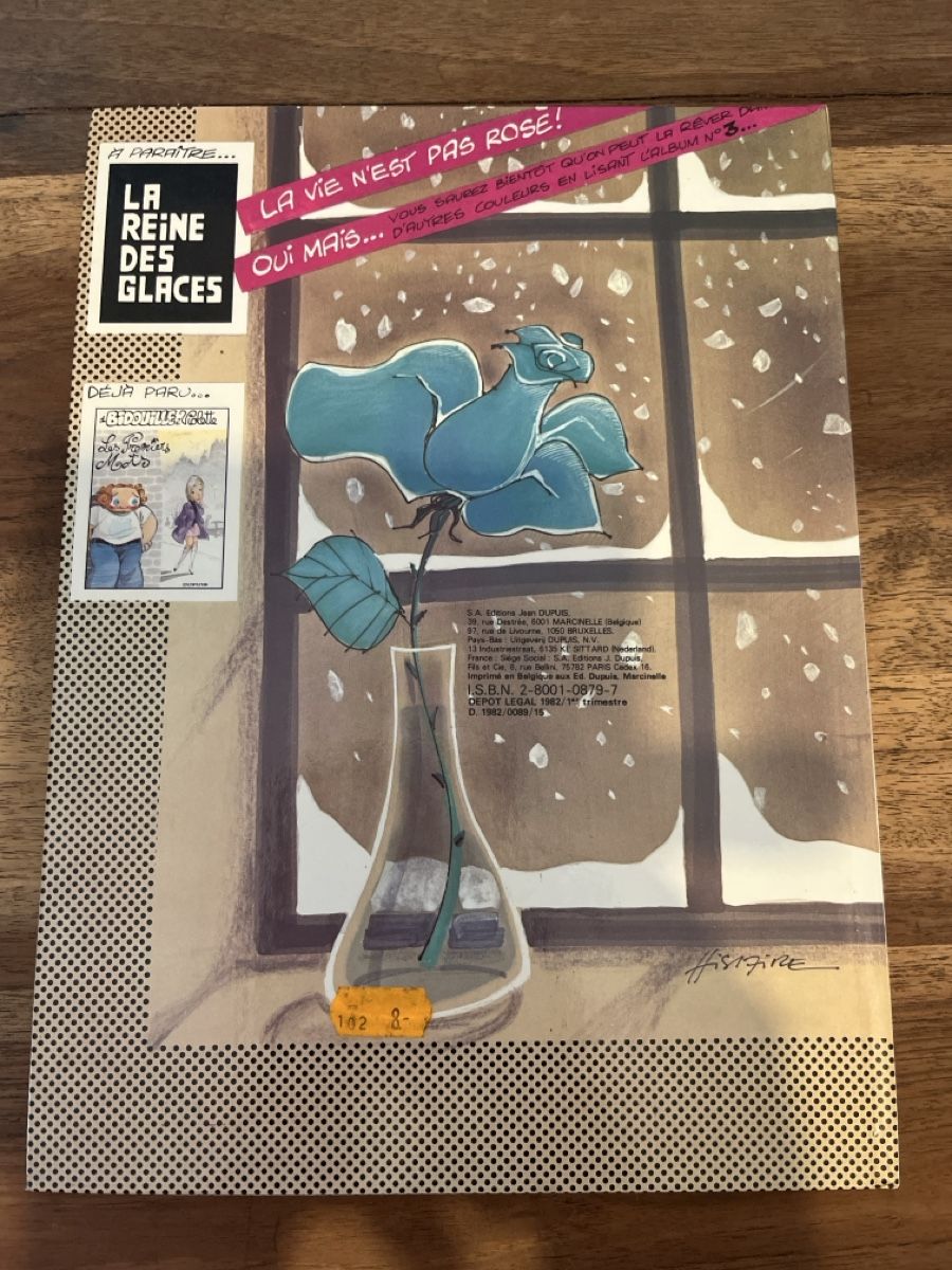 Fumetti: Bidouille et violette, les jours sombres – Usato da lausanne venduto da Guill1007 1