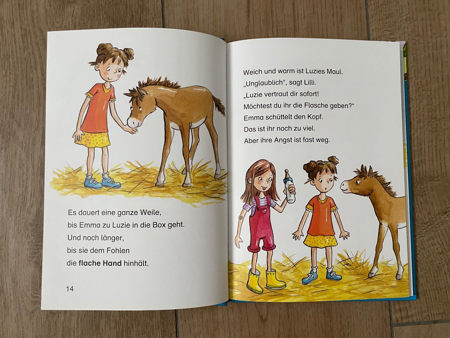 Bücher: 3 Bücher von Leselöwen/Leserabe – Gebraucht aus Waltenschwil von hansnine 4