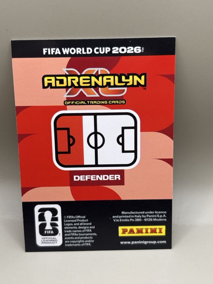 Panini Carte collezionabili: Panini Adrenalyn XL - 98 – Nuovo (secondo la descrizione) da Oberbuchsiten venduto da Bananefrappe93 1