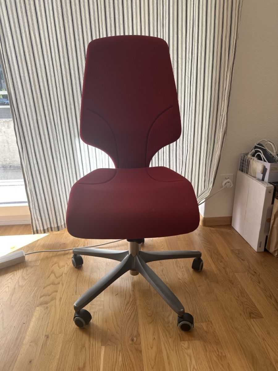 Sedie: Office Chair – Usato da Basel venduto da lei_wz9q 1