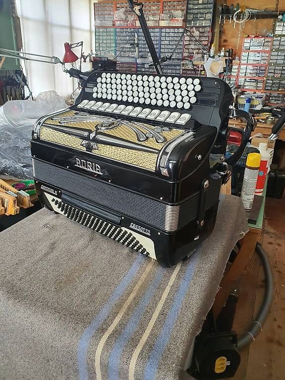 Strumenti musicali: Accordeon ADRIA neuf. – Nuovo e nell'imballaggio originale da Villarepos venduto da Event_Crom 2