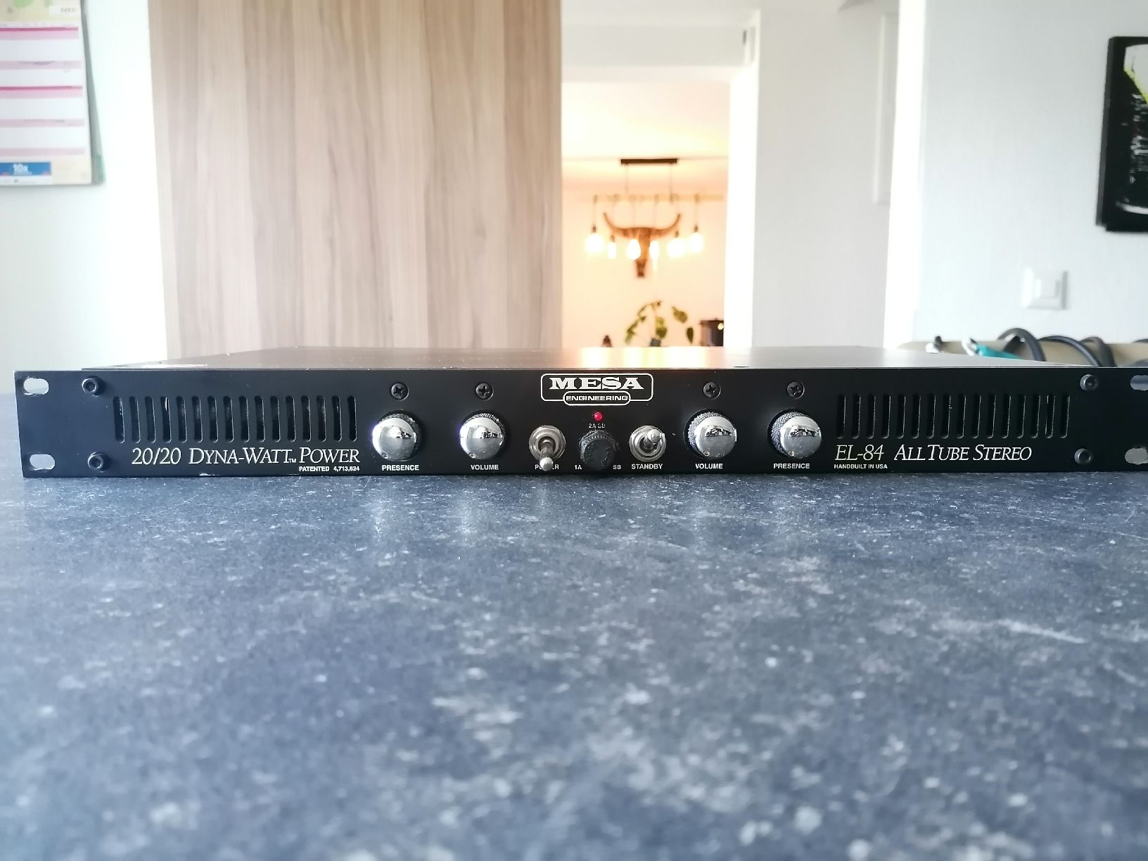 Mesa Boogie Amplificatori: MESA BOOGIE Dynawatt 20/20 – Usato da Farvagny-le-Grand venduto da Galiad