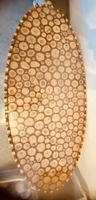 Tisch aus Holz Handmade