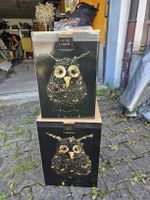 LED Lichter Eulen