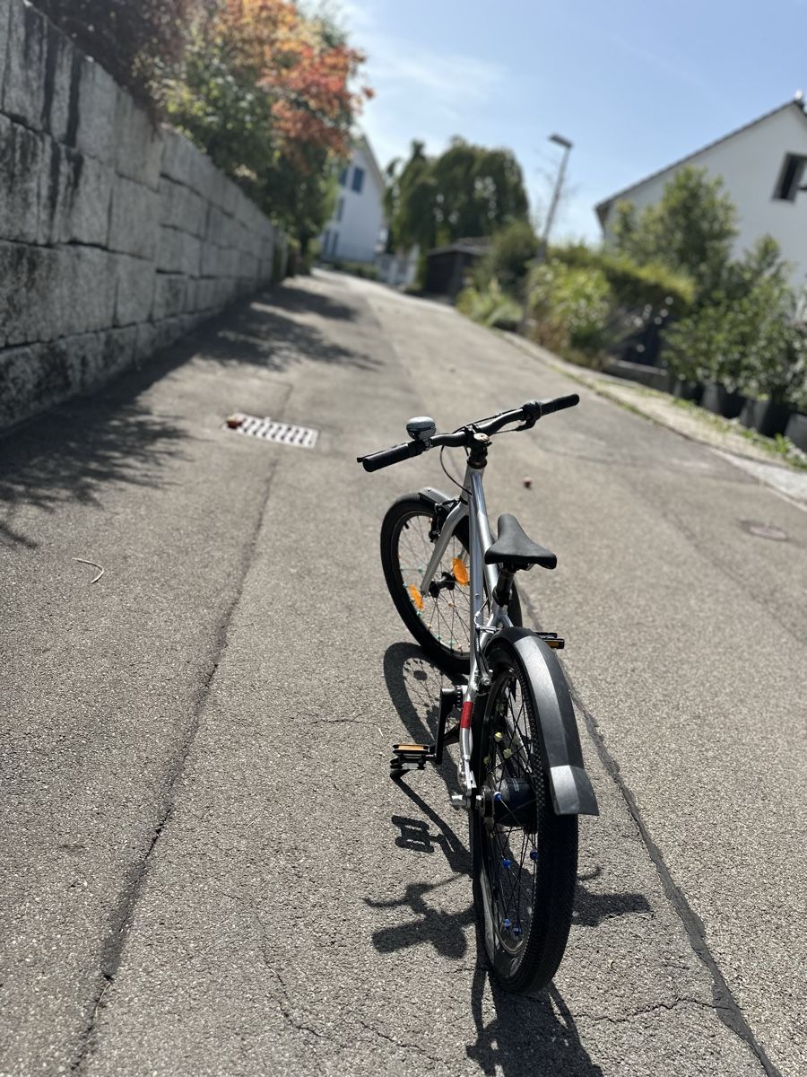 Early Rider Velos: Early Rider Belter – Gebraucht aus Hünenberg von TomN82 2