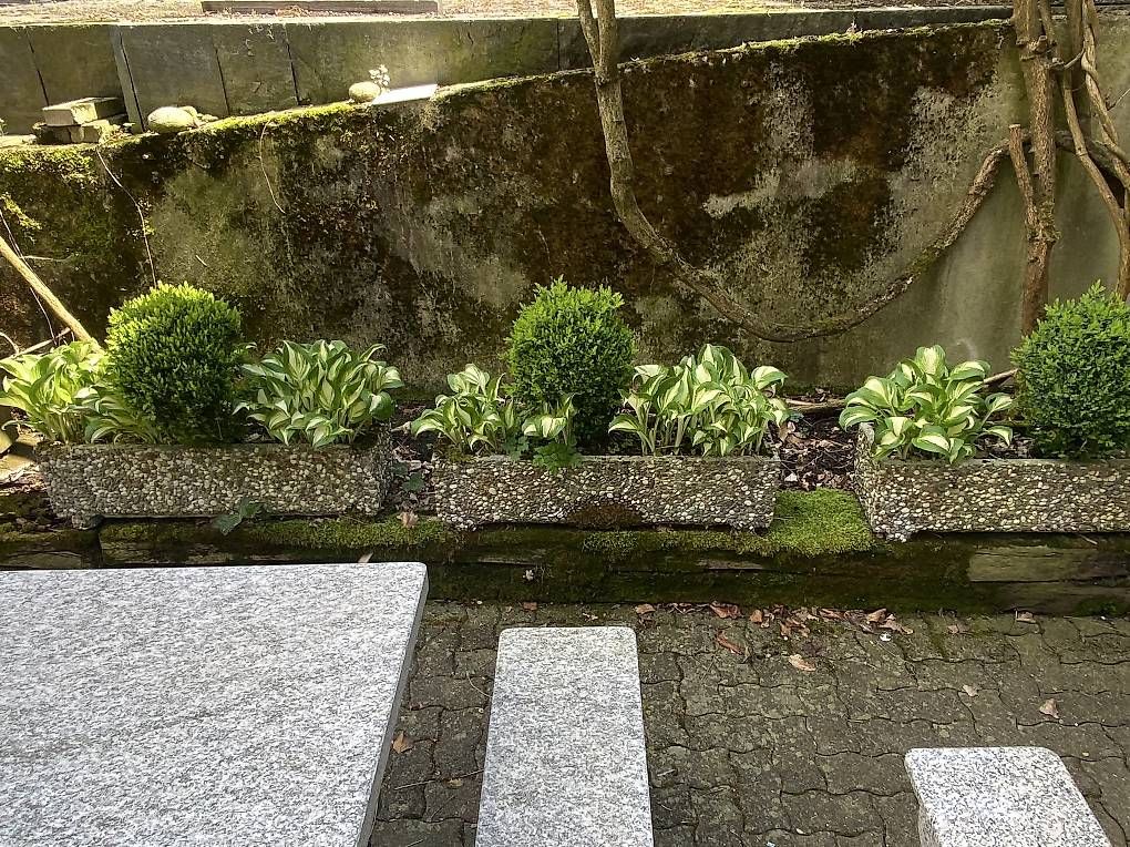 Vasi per fiori: Blumenkiste bepflanzt – Usato da Bürglen TG venduto da jap_dcm6 4