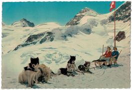 Jungfraujoch, Schlittenhunde, gelaufen 1958