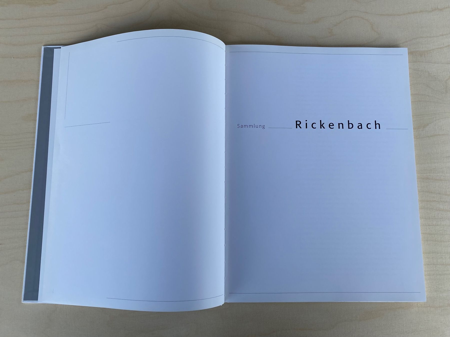 Libri: Buch Sammlung Rickenbach – Usato da Feldbach venduto da Olive1 7