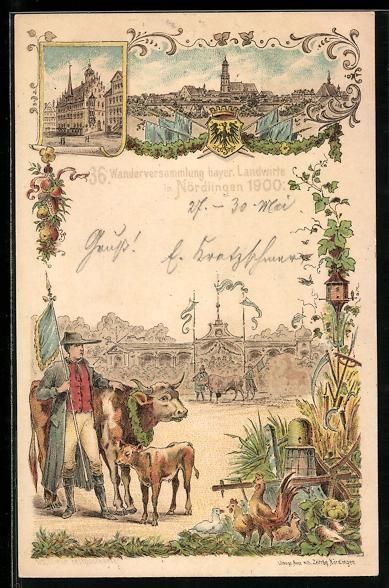 Cancelleria postale: Litho Nördlingen, 36. Wanderversammlung – Usato da Berlin venduto da bartko-reher