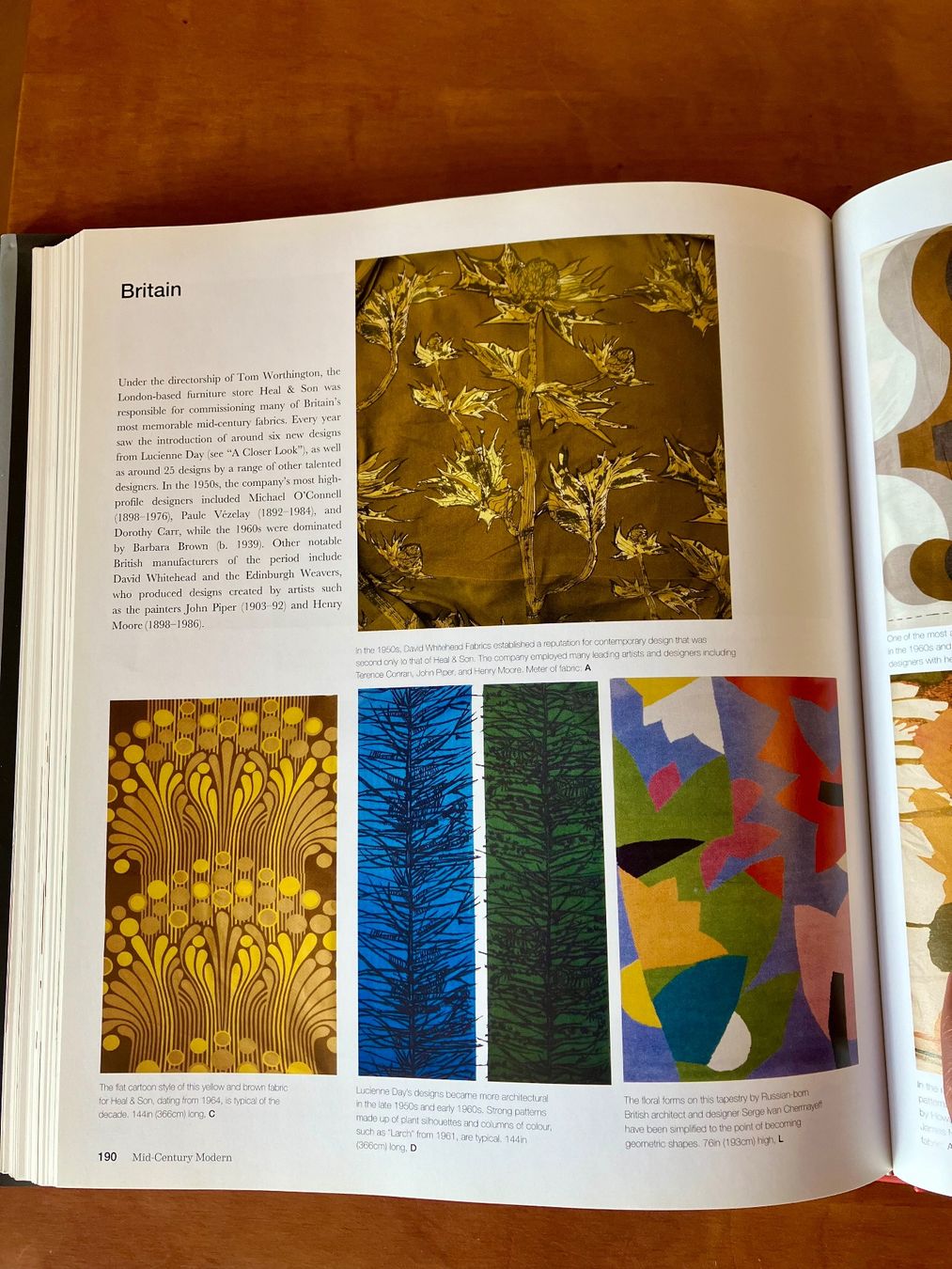 Libri: "Mid-Century Modern" - Illustrated reference book – Usato da Zürich venduto da mou_j96c 4