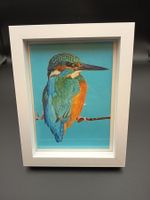 Bild Eisvogel mit weissem Rahmen neu, 17x22cm