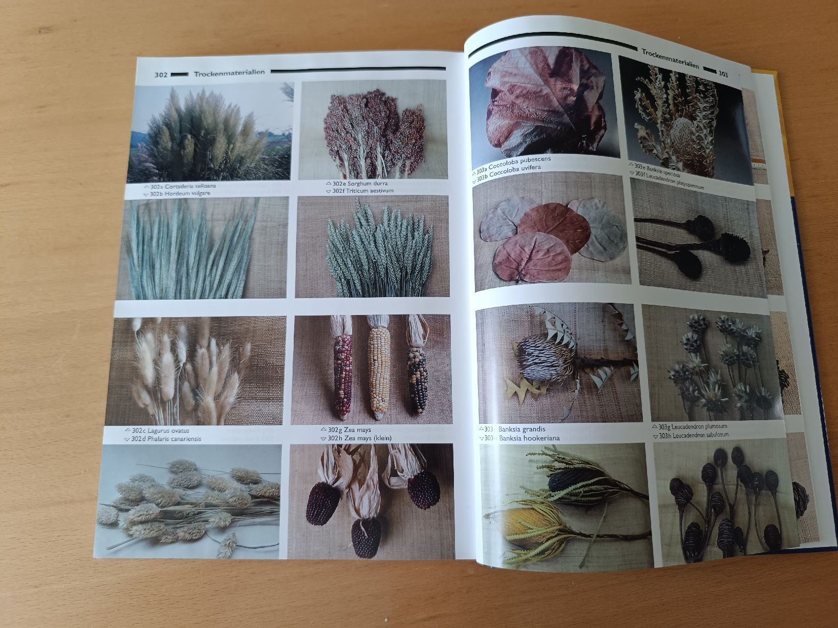 Bücher: Bildatlas Schnittblumen, Floristik  – Gebraucht aus Stans von bdml1 4
