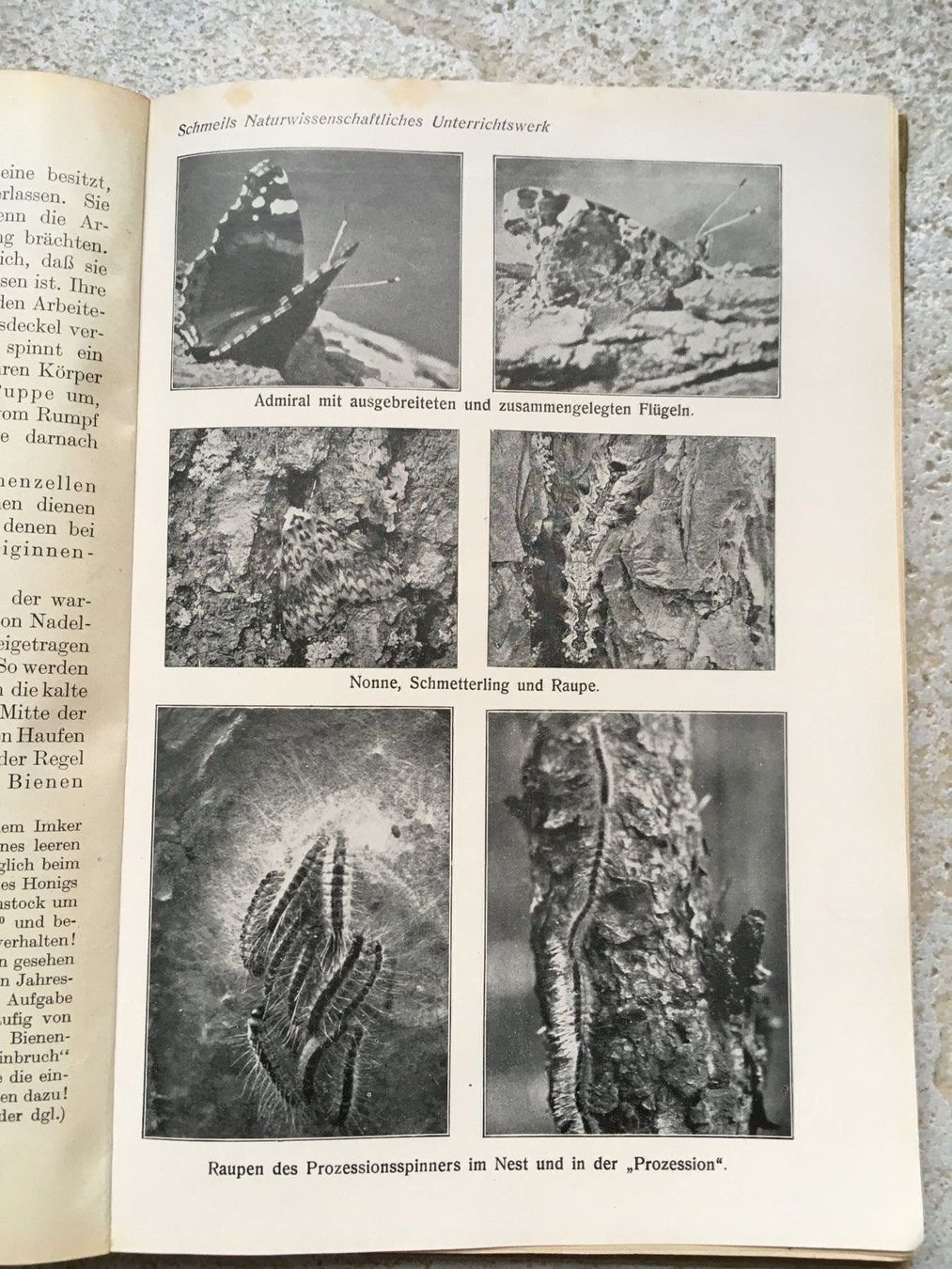 Libri: Antikes Tierkunde-Buch 1926 – Usato da Wettingen venduto da Ecaramel 3