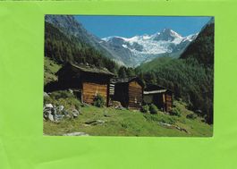 Bei Ried ob Grächen-Riedgletscher