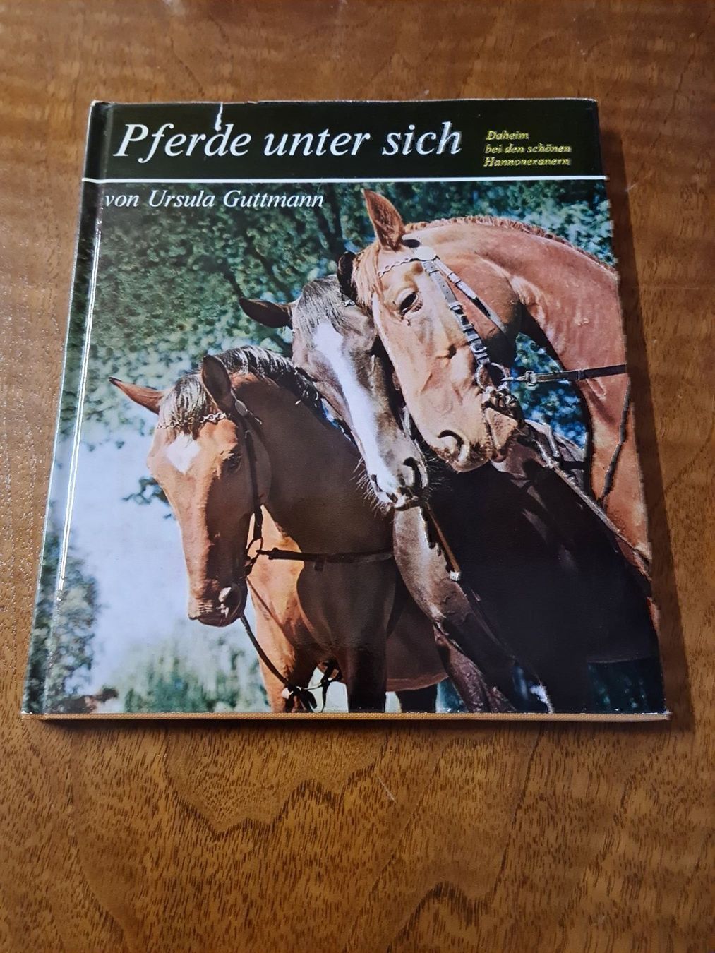 Bücher: Pferde unter sich – Gebraucht aus Erstfeld von Uhu1980