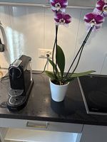 Kaffeemaschine Nespresso